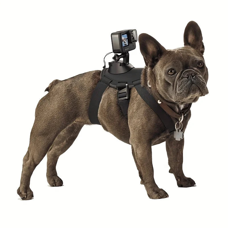 Dog Harness Camera Mount