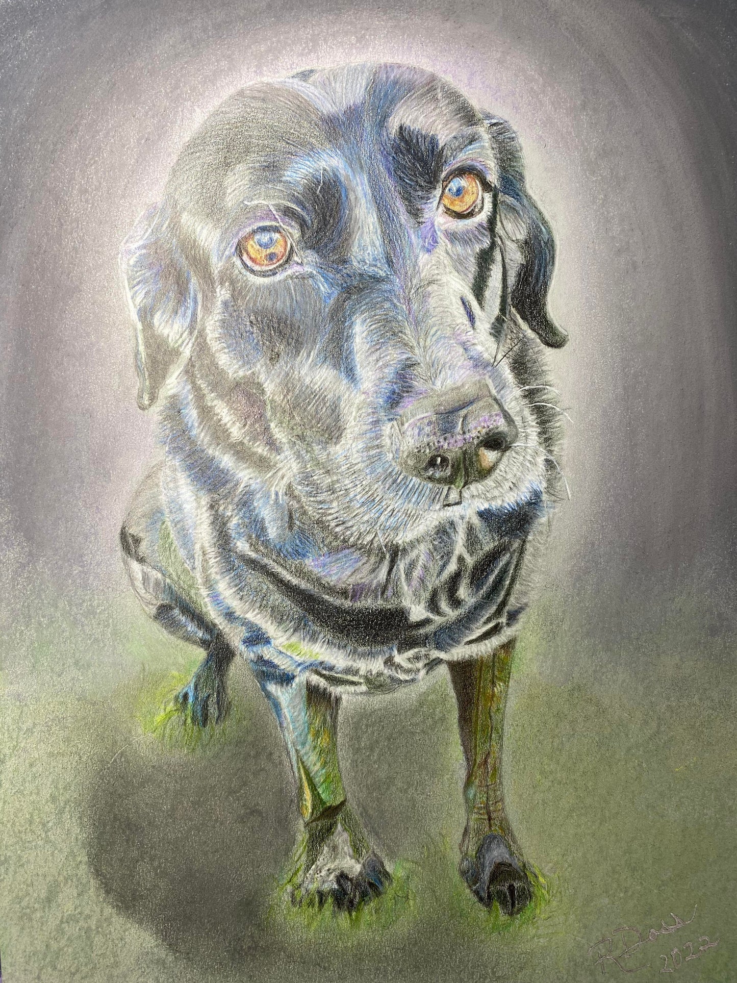 Commissioned Custom Pet Art, Drawing, Painting