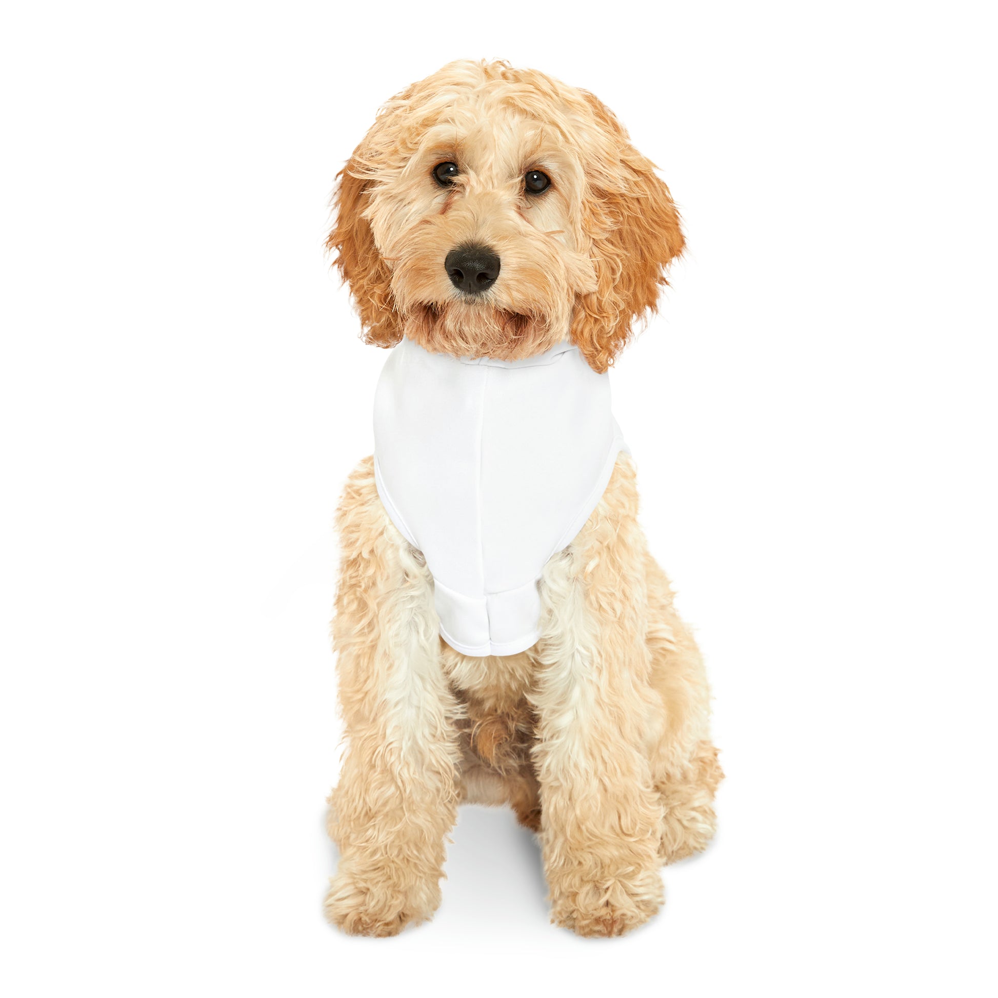 white-pet-hoodie