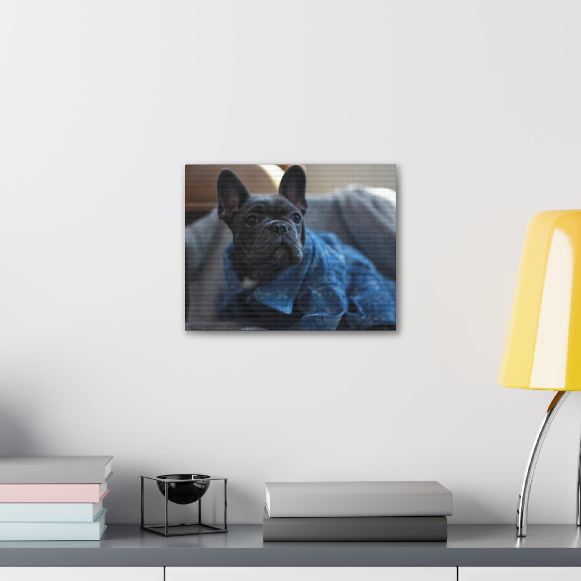 Frenchie Canvas Wrap photograph artwork