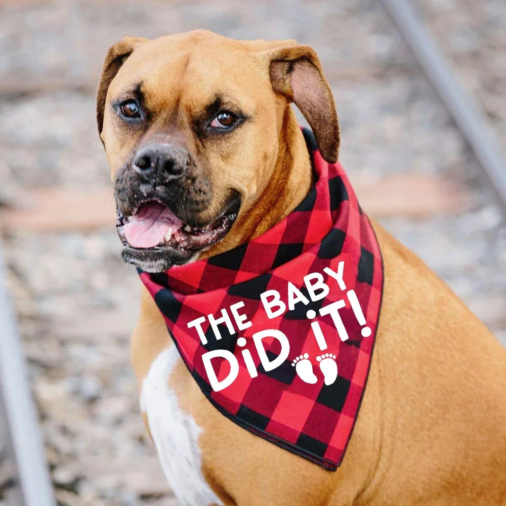 pet bandana on a dog