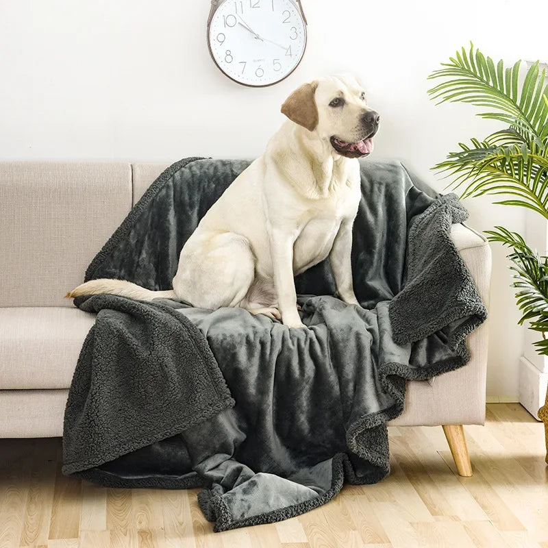 Fleece Pet Blanket