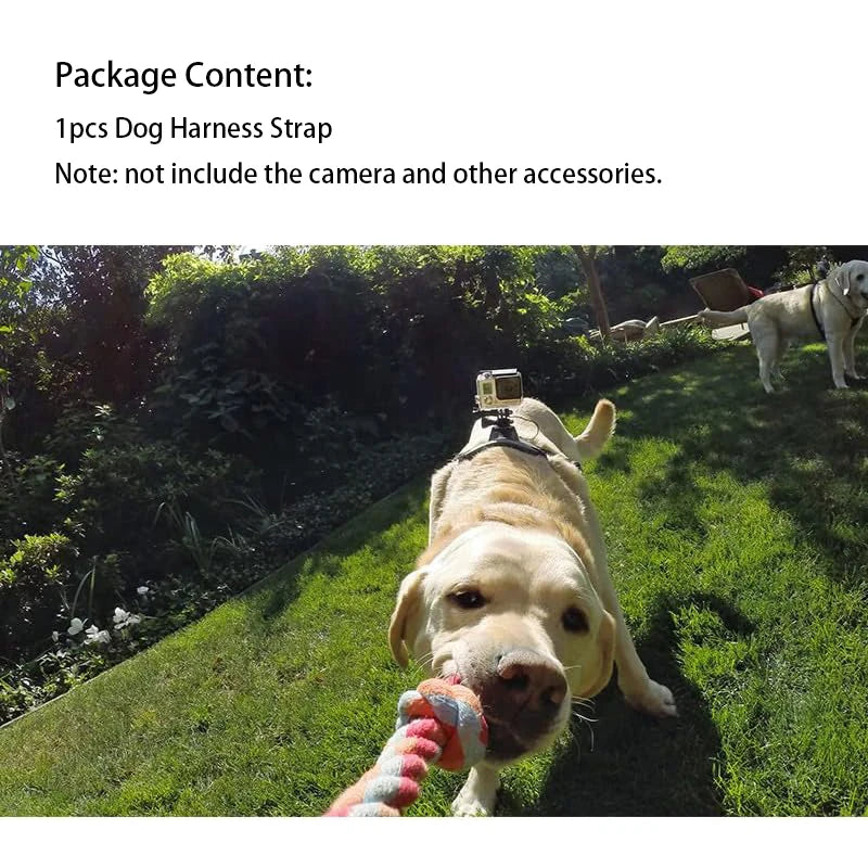 Dog  Harness Camera Mount