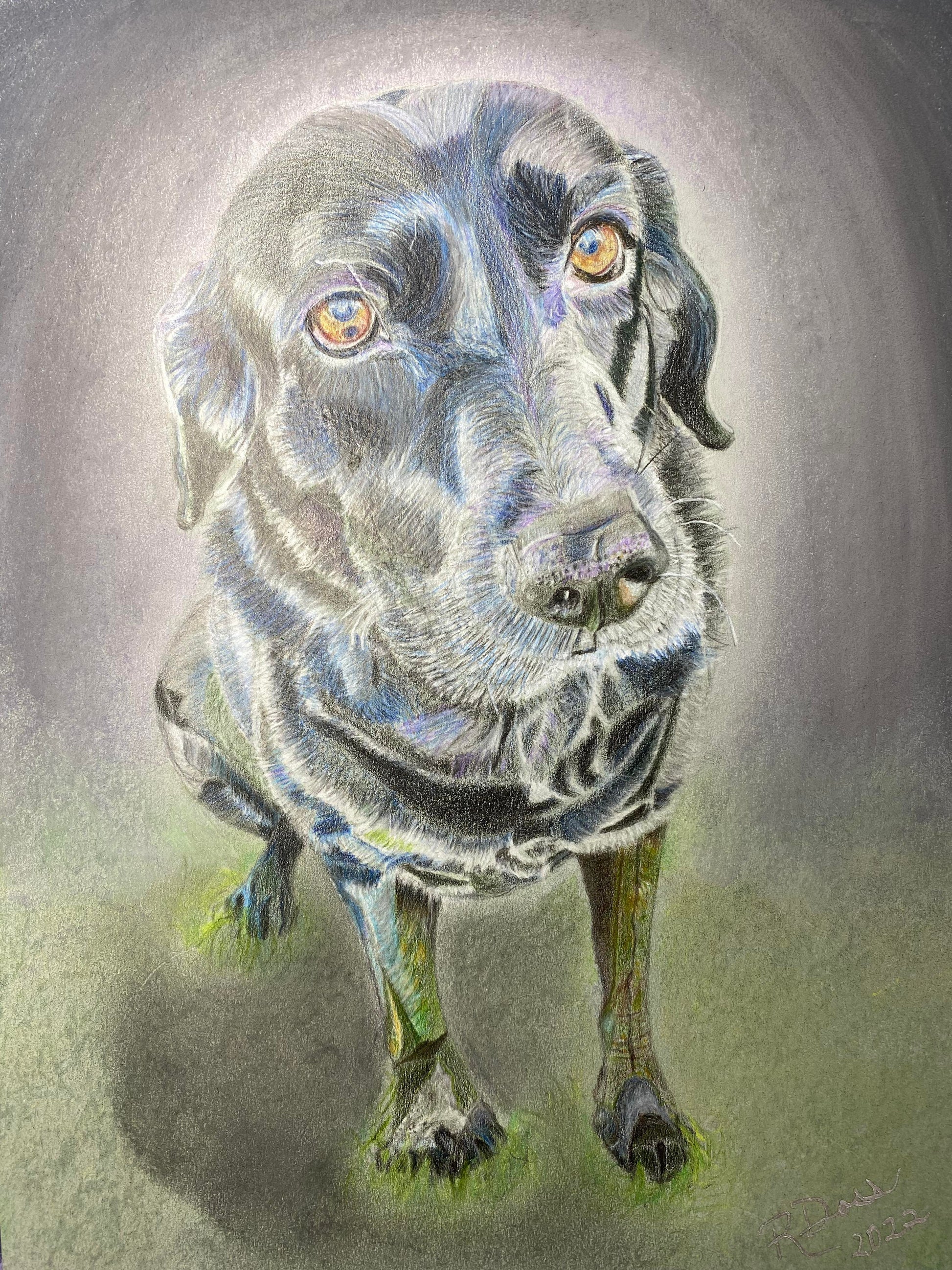 Commissioned Custom Pet Art, Drawing, Painting