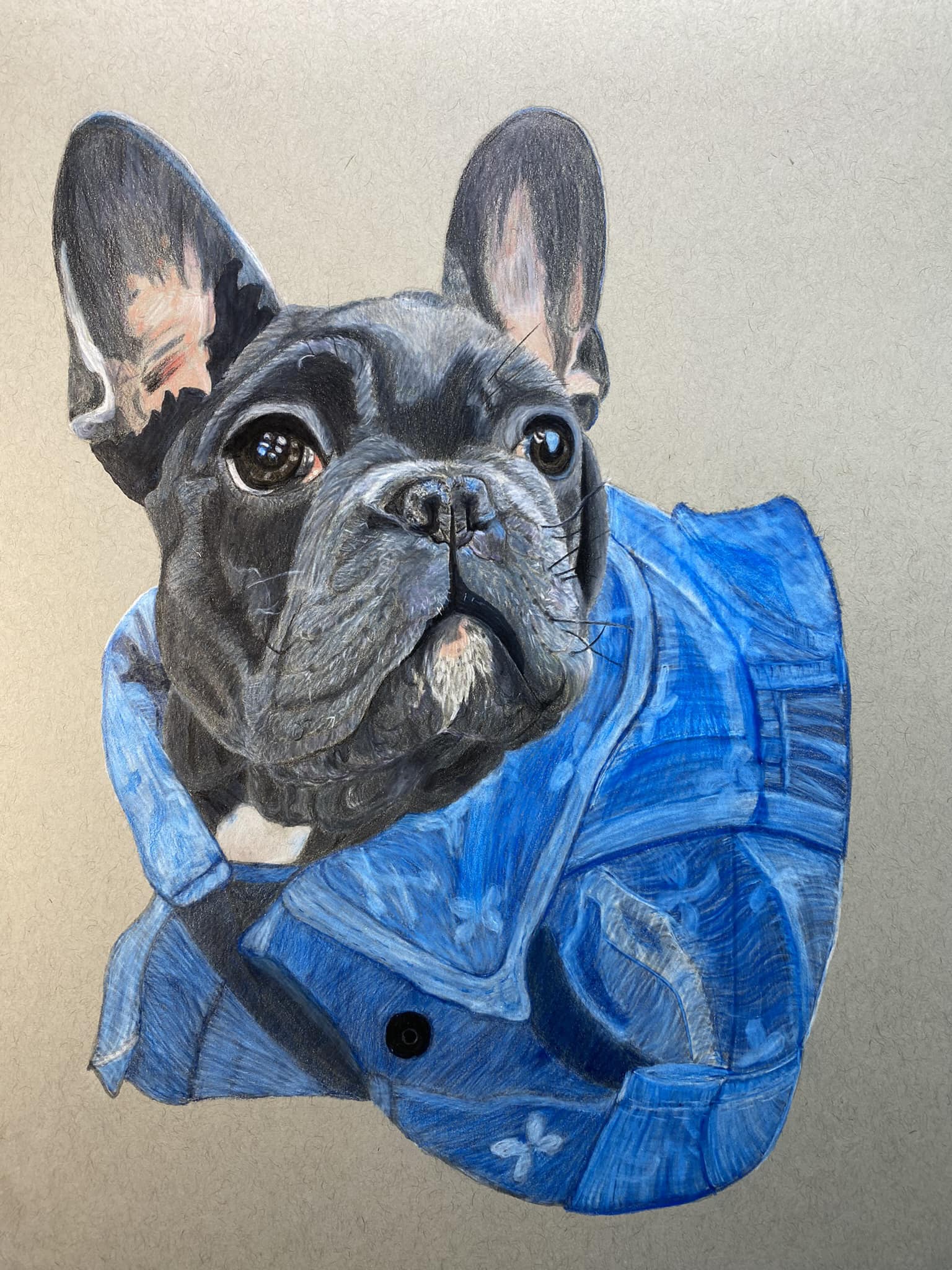 Commissioned Custom Pet Art, Drawing, Painting