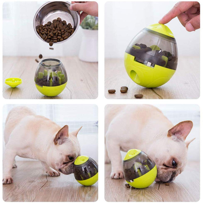 Frenchie eating food from the treat dispenser