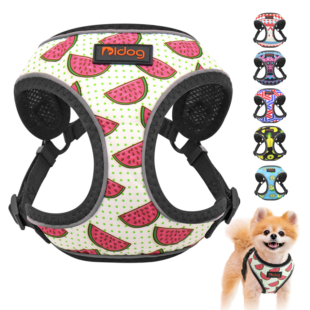 colorful fruity pattern harness for dog pet frenchie bulldog