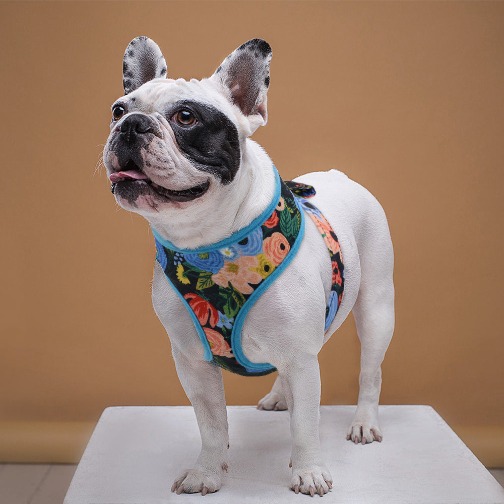 Floral dog pet harness for frenchies