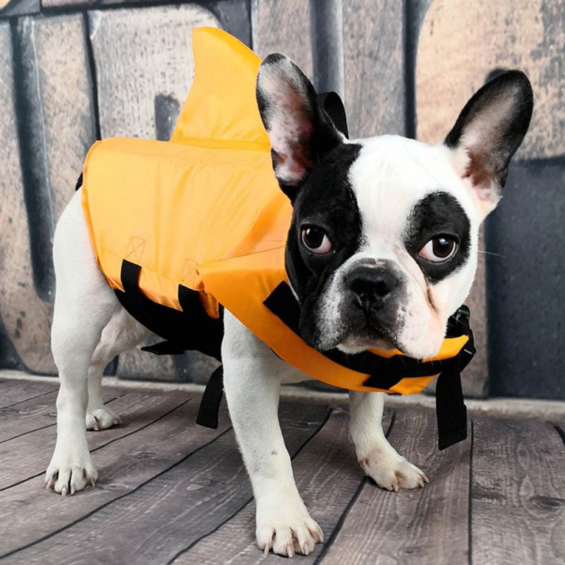 shark life vest for dogs and pets