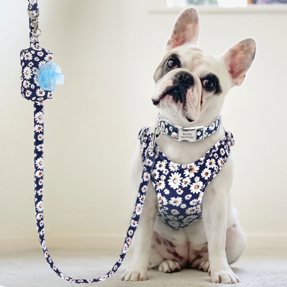 Personalized French Bulldog Collar