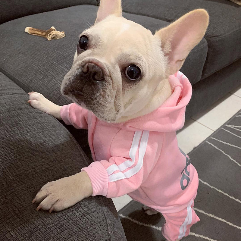 frenchie, dog hoodie, pet apparel