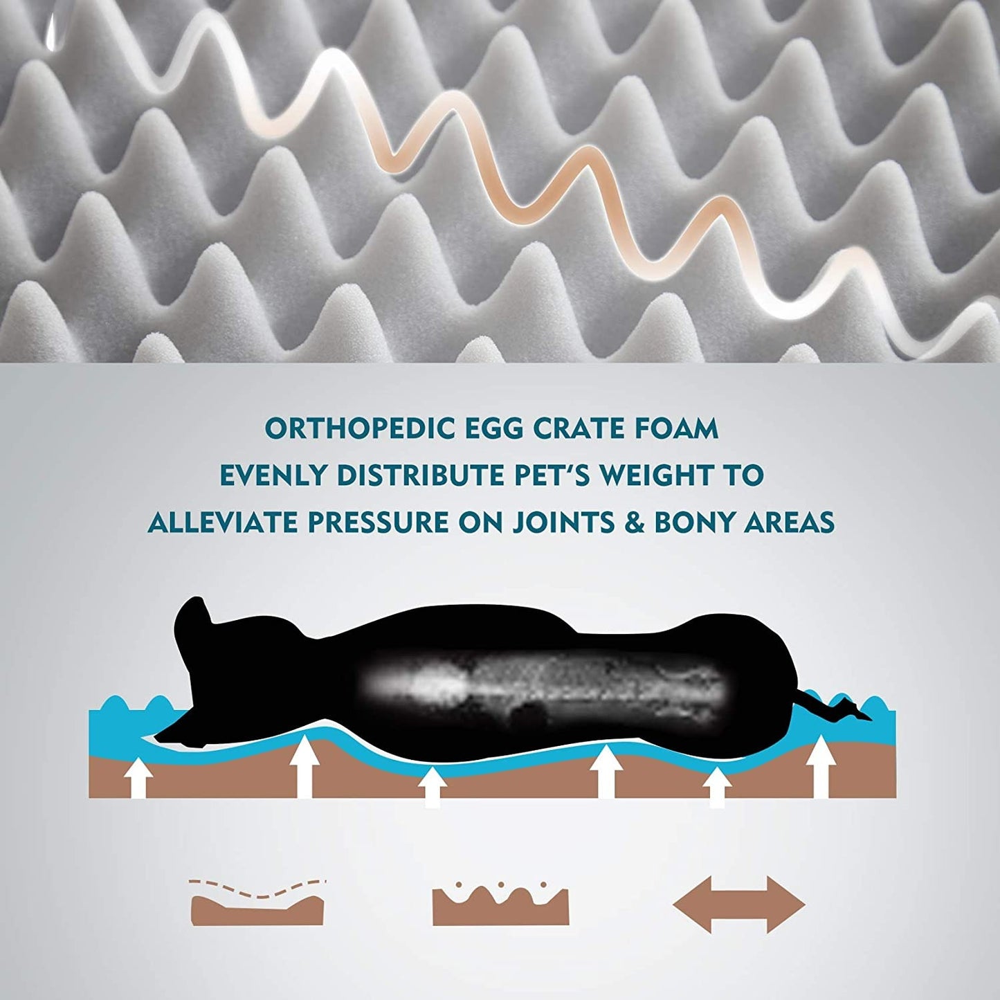 orthopedic-foam-graphic