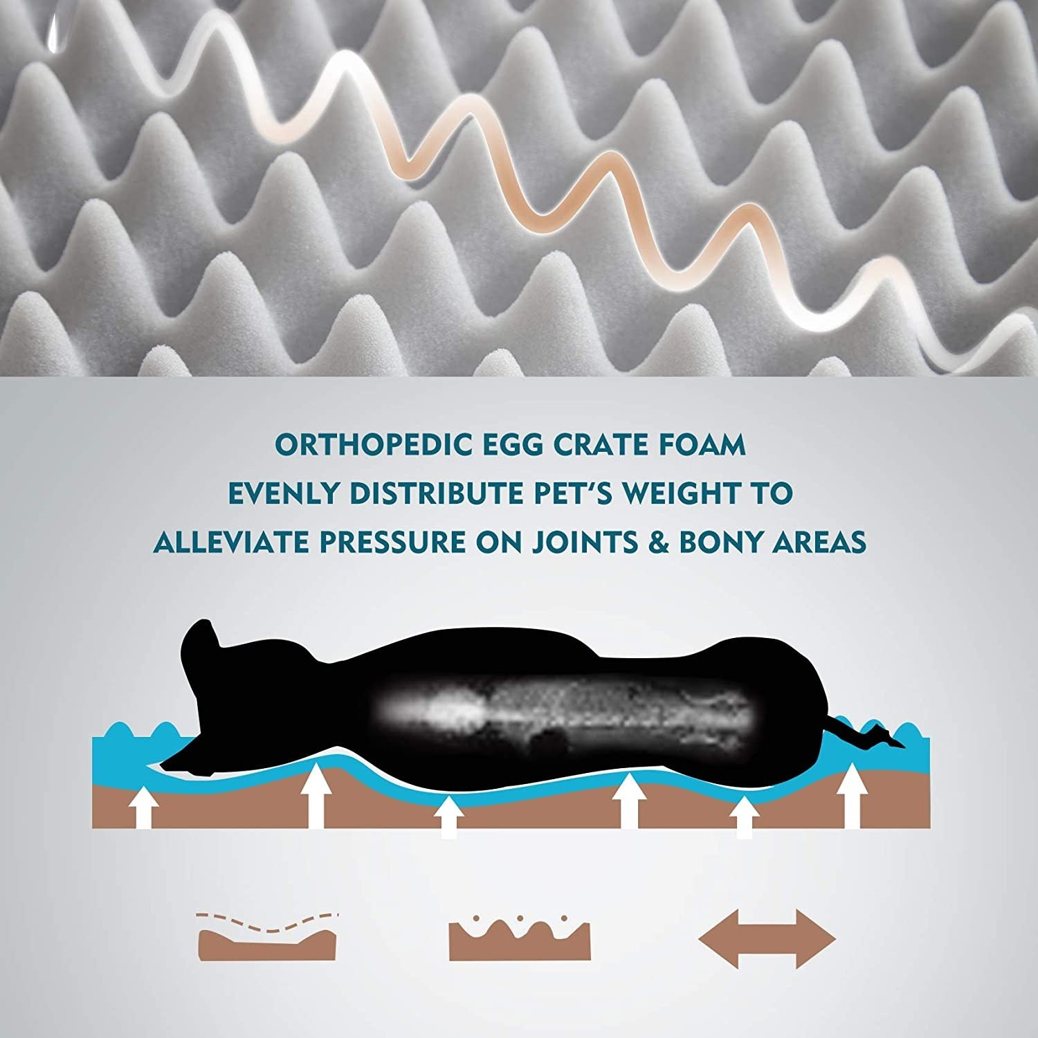 orthopedic-foam-graphic