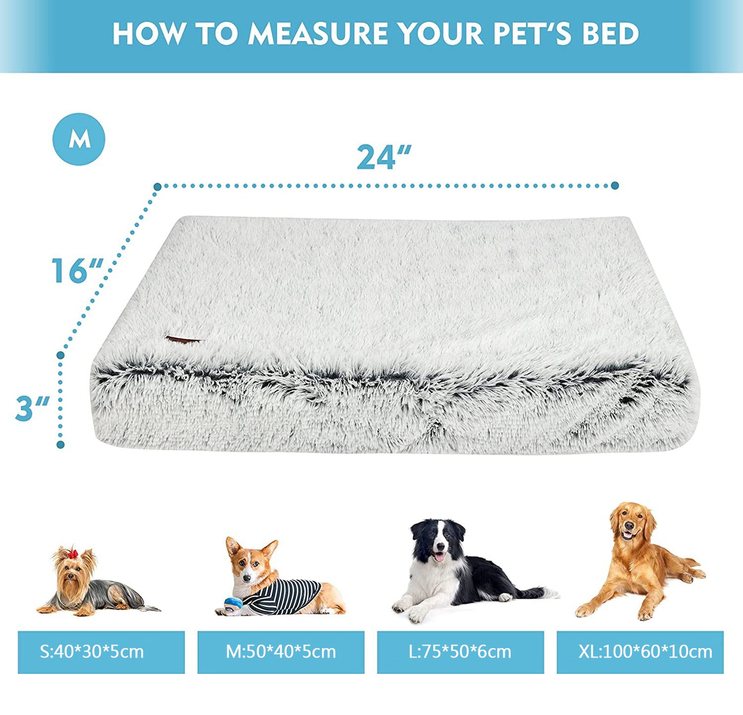 the dimensions of the pet bed